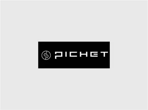 Logo Groupe Pichet
